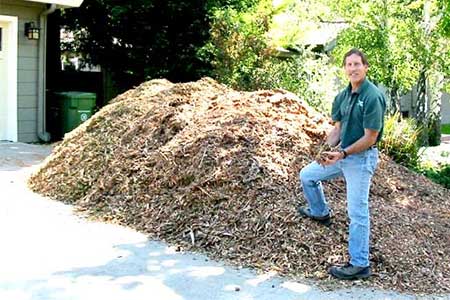 wood chips